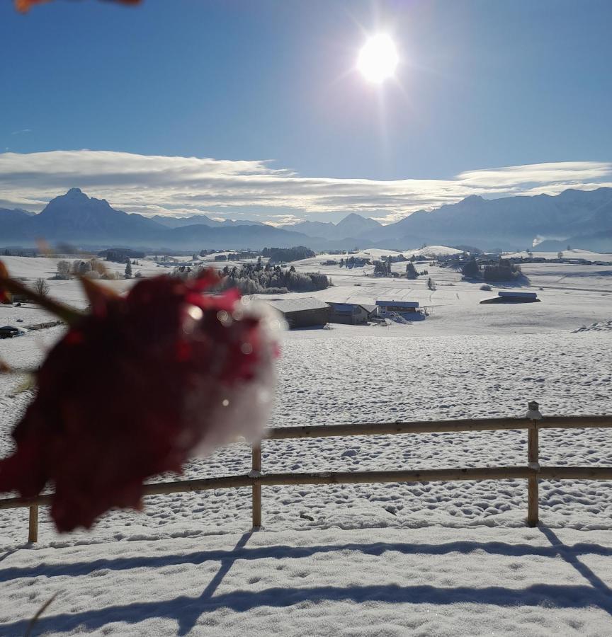 Appartamento Panoramablick Heimen Hopferau Esterno foto